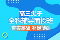 高三尖子全科辅导班